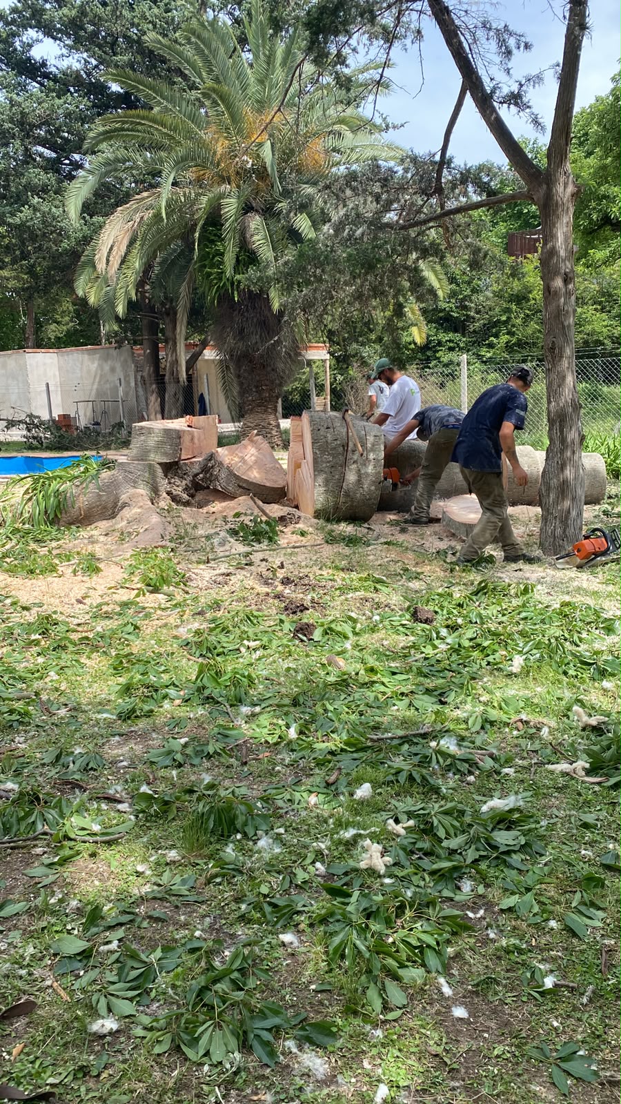 Corte de pasto y jardinería