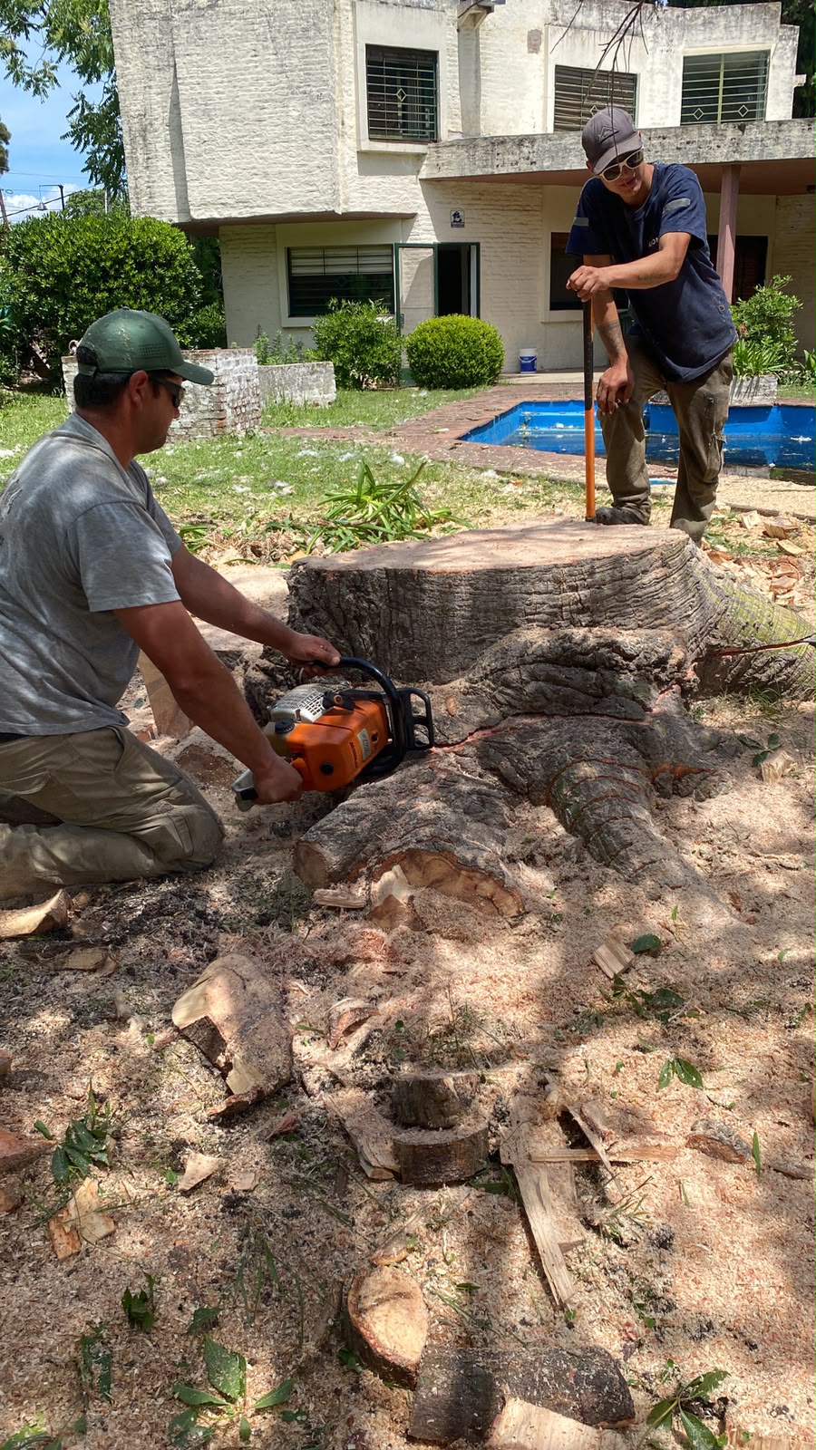 Retiro de residuos de poda